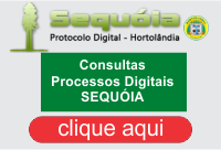 PROCESSOS SEQUOIA